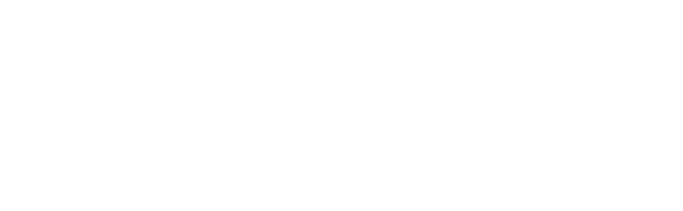 STN Sogetrel Telecom Networks GmbH - Logo